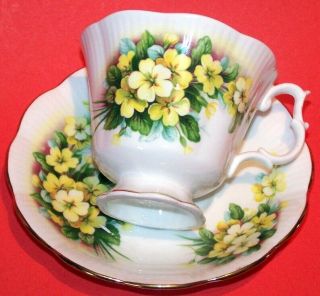 Tea Cup & Saucer: Royal Albert Bone China,  Circa 1960 