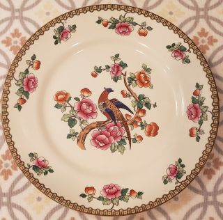 Antique F Winkle & Co Whieldon Ware Pheasant Dinner Plate - 10 " - Vintage - 1925