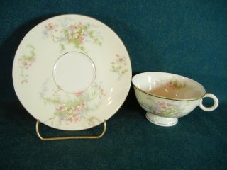 Theodore Haviland Apple Blossom Gold Trim Cup And Saucer Set (s)