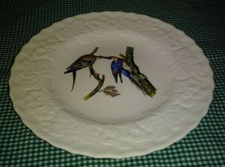Vtg Alfred Meakin Birds Of America 9 " Passenger Pigeon Plate Embossed Floral Rim