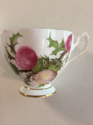 Queen Anne Fine Bone China Dundee Thistle Pattern Tea Cup Only Made In England