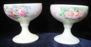 R.  S.  Tillowitz Hand Painted Porcelain Goblets Glasses - Set Of 2 - Flowers