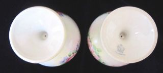 R.  S.  Tillowitz Hand Painted Porcelain Goblets Glasses - Set of 2 - Flowers 5