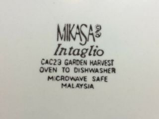 Mikasa Soup/Cereal Bowl Garden Harvest Pattern 3