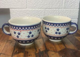 Boleslawiec Hand Painted Polish Pottery Latte Coffee Mug Soup Bowl Stoneware