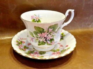 Royal Albert Cup & Saucer Set: " Mayflower " Lovely Pink Flowers - Pristine