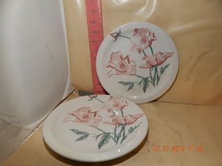 Caribe China 9 1/8 Inch Dinner Plates - Floral Decorated - Coded F - 1 For 1953