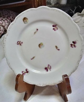 Carlsbad China Scalopped.  Gold Sponged Dessert Plate W/ Violets Austria