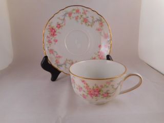 Tea Or Coffee Cup & Saucer,  Hutschenreuther China Richelieu Pattern (7658)