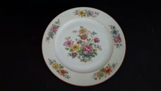 Vintage Thomas Bavaria Fantasy Dinner Plate Porcelain 9.  75 "