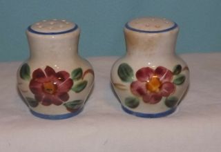 Antique Red Wing Hand Painted Stone Ware Salt&pepper Shakers