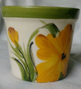 Vintage Hand Painted Brazil Flower Pot Planter Floral Yellow Green Ceramic