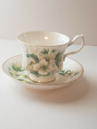 Bluebird Canada Fine Bone China Magnolia Floral Tea Cup And Saucer Vintage