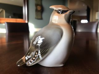 Vintage Porcelain Figurine Of A Cedar Waxwing Bird By Lomonosov Ussr