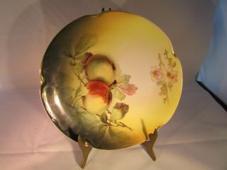 Antique J&c Louise Bavaria Plate Signed By J.  Koch Apple And Blossoms 8.  1/2 "