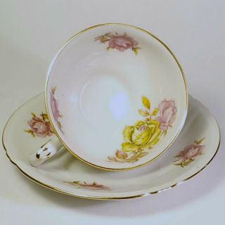 Vintage Bavaria Germany Teacup And Saucer With Pink Roses.