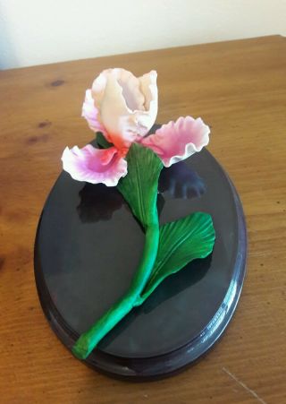 CAPODIMONTE PINK ROSE FLOWER ON GREEN LEAVES/STEM FIGURINE PORCELAIN BY FABAR 3