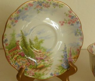 Vintage Royal Albert Kentish Rockery Fine China Tea Cup & Saucer NO.  816998 2