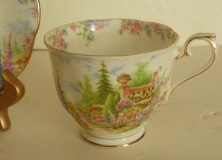 Vintage Royal Albert Kentish Rockery Fine China Tea Cup & Saucer NO.  816998 3