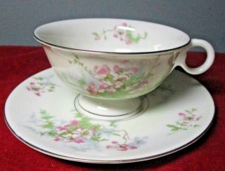 Vintage Theodore Haviland (york) " Apple Blossom " Footed Cup & Saucer Set