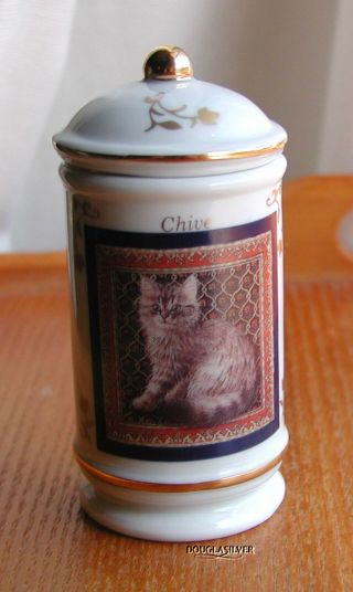 Lenox Cats Of Distinction China Spice Bottle Chive
