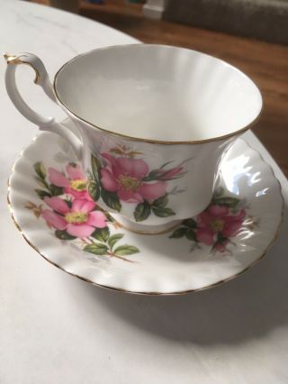 Vintage Lovely Royal Albert Prarie Rose Tea Cup And Saucer
