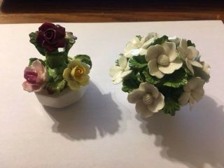 2 Aynsley Vintage English Fine Bone China Hand Painted Flowers In White Pots
