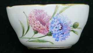 Vintage Paragon English Bone China Open Sugar Bowl,  Flower Decoration
