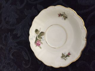One Ohata Bone China Saucer Moss Rose Pattern.  Made In Occupied Japan