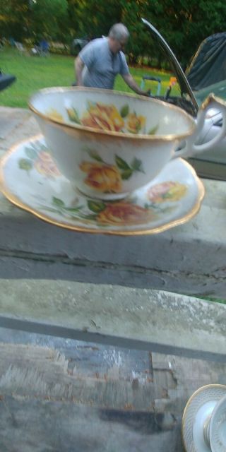 Royal Standard Romany Rose Cup And Saucer