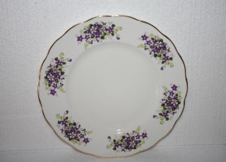 Vintage England Queen Anne Bone China Plate Purple White Forget - Me - Not Flowers