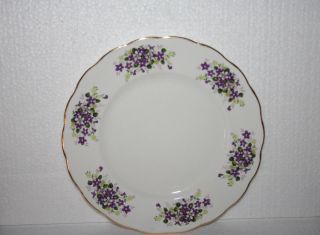 Vintage England Queen Anne Bone China Plate Purple White Forget - Me - Not Flowers 2