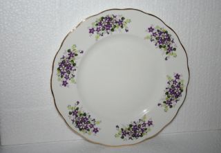 Vintage England Queen Anne Bone China Plate Purple White Forget - Me - Not Flowers 3