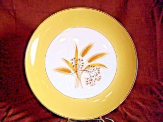Vintage Century Service Corp Semi Vitreous Autumn Gold 10” Dinner Plate