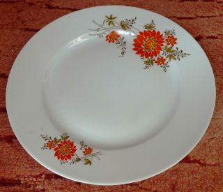 Old Altrohlau Porcelain 1918 - 1939 Mz Czechoslovakia White & Red Dinner Plate