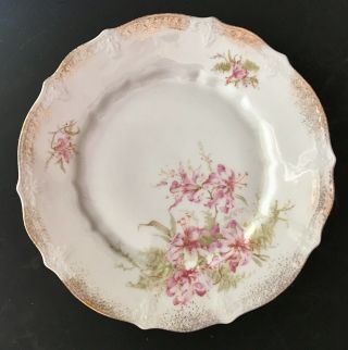Antique Hand Painted Carl Tielsch C T Germany Porcelain Plate