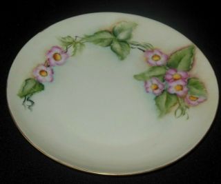 M Z Austria Hand Painted Wild Pink Roses Plate 1884