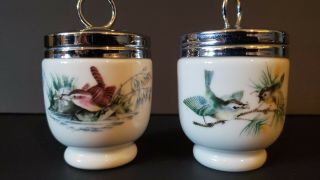 Vintage Royal Worcester Porcelain 3” Egg Coddler,  Birds Wrens,  England