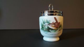 vintage Royal Worcester Porcelain 3” Egg Coddler,  Birds Wrens,  England 2