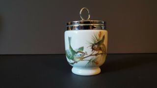vintage Royal Worcester Porcelain 3” Egg Coddler,  Birds Wrens,  England 3