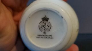 vintage Royal Worcester Porcelain 3” Egg Coddler,  Birds Wrens,  England 4