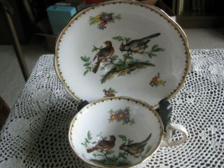 Crown China England Royal Albert Teacup Set Robin & Cardinal Birds C 1920 - 30 