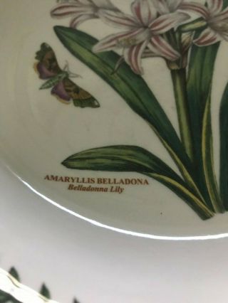 Portmeirion Botanic Garden Large Soup Bowl Small Serving Bowl Belladonna Lily 2