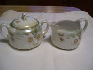 Vintage Pair Rs Germany Porcelain Creamer And Sugar