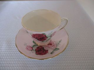 Colclough Fine Bone China England Cup & Saucer Pink & Maroon Rose