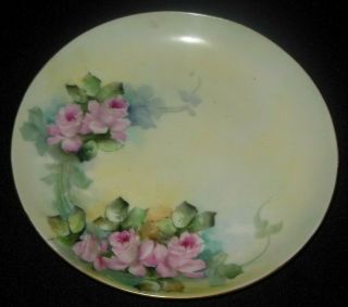 Hutschenreuther Bavaria Jhr Hand Painted Plate Pink Roses Multi Colored Foliage