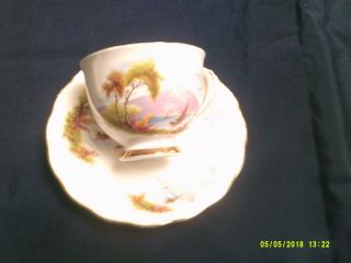 Bone China Cup And Saucer - Colclough - Made In England